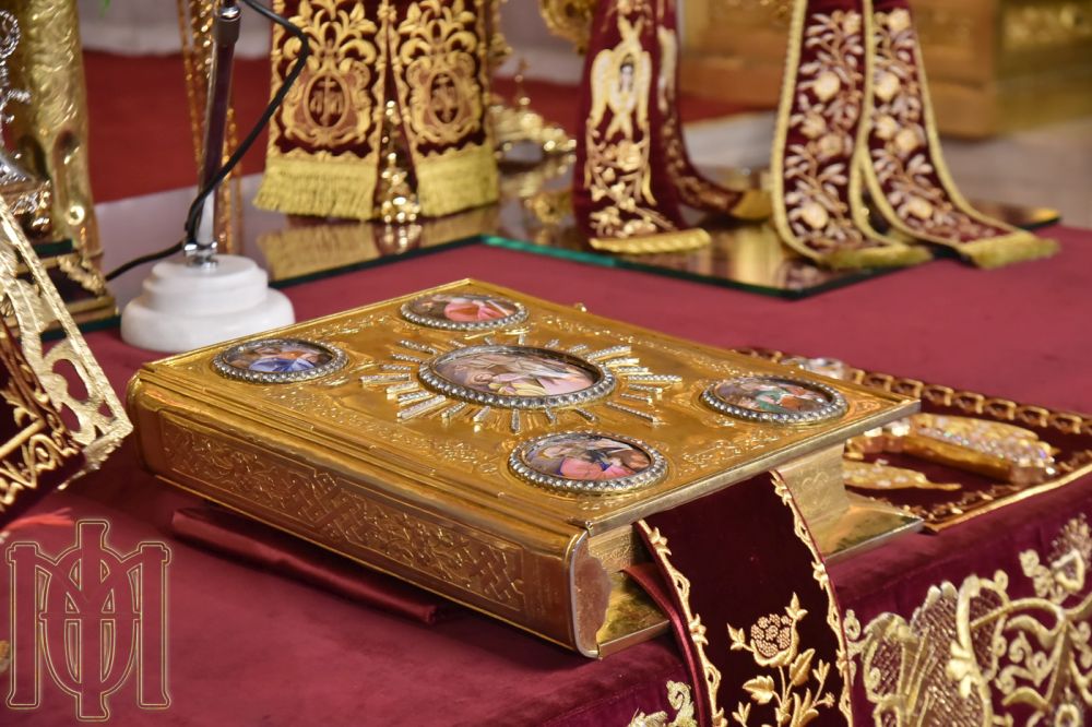 52454068241 9bd8868e7e o